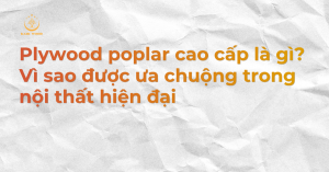 Plywood poplar cao cấp là gì? Vì sao được ưa chuộng trong nội thất hiện đại