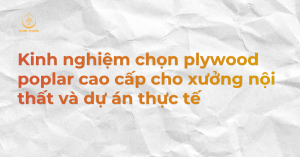 Kinh nghiệm chọn plywood poplar cao cấp cho xưởng nội thất và dự án thực tế