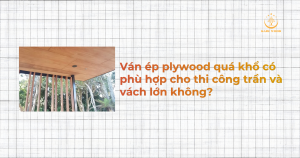 Ván ép plywood quá khổ có phù hợp cho thi công trần và vách lớn không?