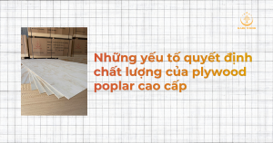 Những yếu tố quyết định chất lượng của plywood poplar cao cấp