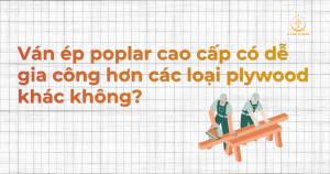 Ván ép poplar cao cấp có dễ gia công hơn các loại plywood khác không?