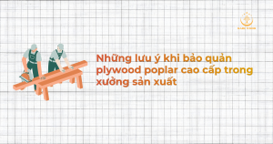 Những lưu ý khi bảo quản plywood poplar cao cấp trong xưởng sản xuất