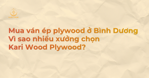 Mua ván ép plywood ở Bình Dương tại Kari Wood Plywood giúp xưởng có nguồn hàng ổn định, đa dạng và thuận tiện cho sản xuất.