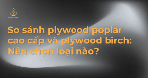 So sánh plywood poplar cao cấp và plywood birch: Nên chọn loại nào?