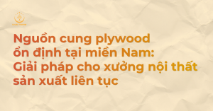 Nguồn cung plywood ổn định tại miền Nam: Giải pháp cho xưởng nội thất sản xuất liên tục