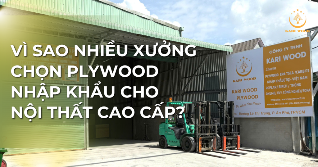 Vì sao nhiều xưởng chọn plywood nhập khẩu cho nội thất cao cấp?