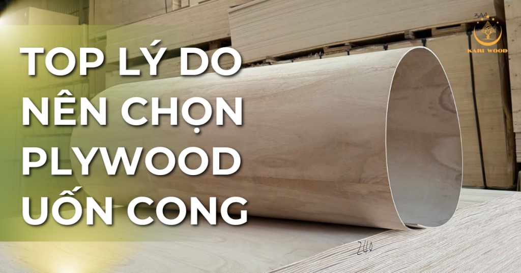 TOP lý do nên chọn plywood uốn cong trong thi công nội thất