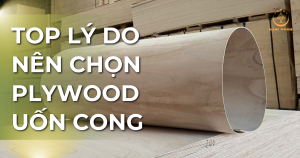 TOP lý do nên chọn plywood uốn cong trong thi công nội thất