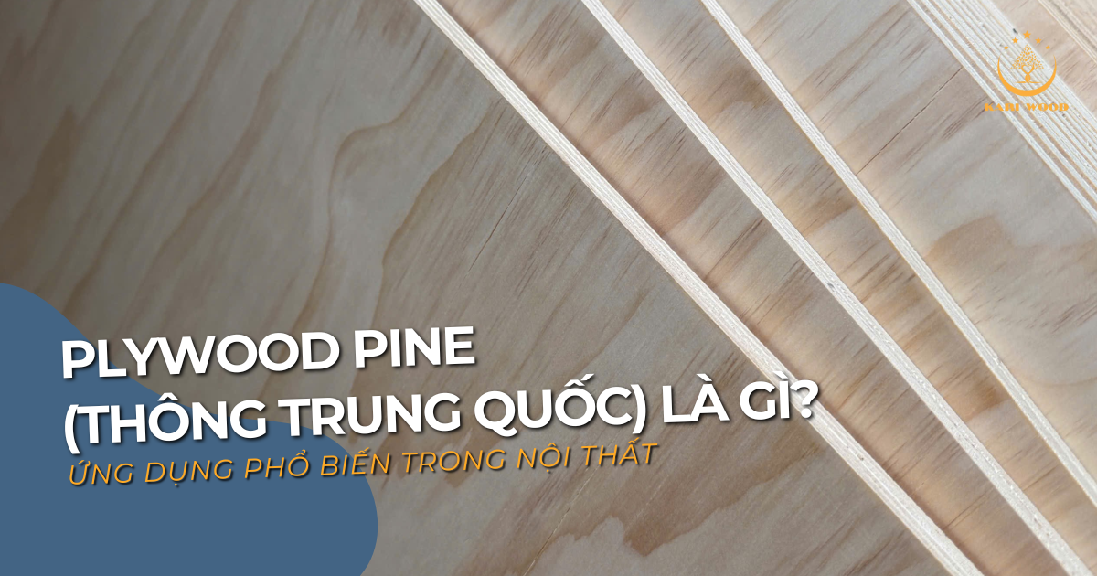 Plywood Pine (Thông Trung Quốc) là gì? Ứng dụng phổ biến trong nội thất