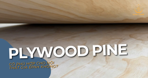 Plywood Pine có phù hợp cho nội thất gia đình không?