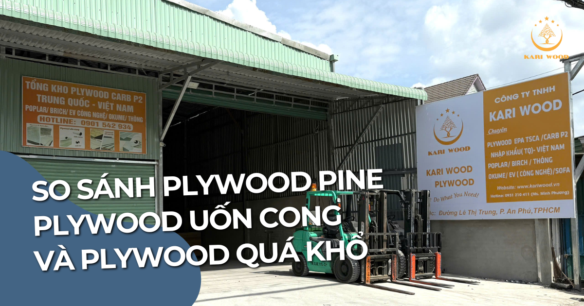 So sánh plywood Pine, plywood uốn cong và plywood quá khổ