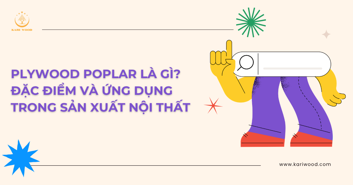Plywood poplar là gì? Đặc điểm và ứng dụng trong sản xuất nội thất