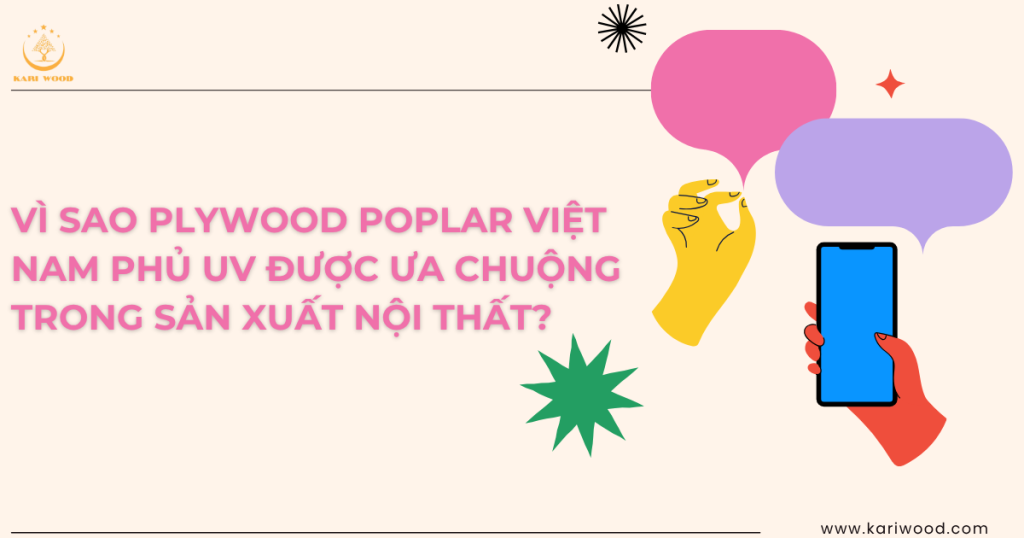 Vì sao plywood poplar Việt Nam phủ UV được ưa chuộng trong sản xuất nội thất?