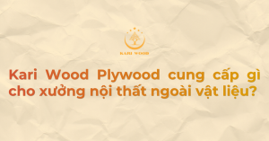 Kari Wood Plywood cung cấp gì cho xưởng nội thất ngoài vật liệu?
