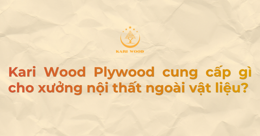 Kari Wood Plywood cung cấp gì cho xưởng nội thất ngoài vật liệu?