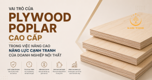 Vai trò của plywood poplar cao cấp trong việc nâng cao năng lực cạnh tranh của doanh nghiệp nội thất