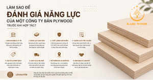 Làm sao để đánh giá năng lực của một công ty bán plywood trước khi hợp tác?