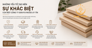 Những yếu tố tạo nên sự khác biệt của một công ty bán plywood uy tín