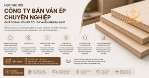 Hợp tác với công ty bán ván ép chuyên nghiệp giúp doanh nghiệp tối ưu vận hành ra sao?
