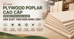 Vì sao plywood poplar cao cấp phù hợp với các doanh nghiệp sản xuất theo đơn hàng lớn?