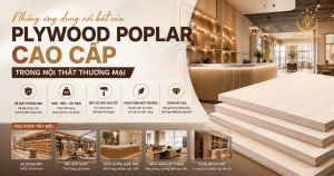 Những ứng dụng nổi bật của plywood poplar cao cấp trong nội thất thương mại
