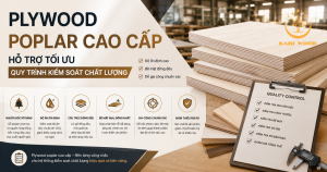 Plywood poplar cao cấp hỗ trợ tối ưu quy trình kiểm soát chất lượng như thế nào?