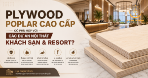 Plywood poplar cao cấp có phù hợp với các dự án nội thất khách sạn và resort không?